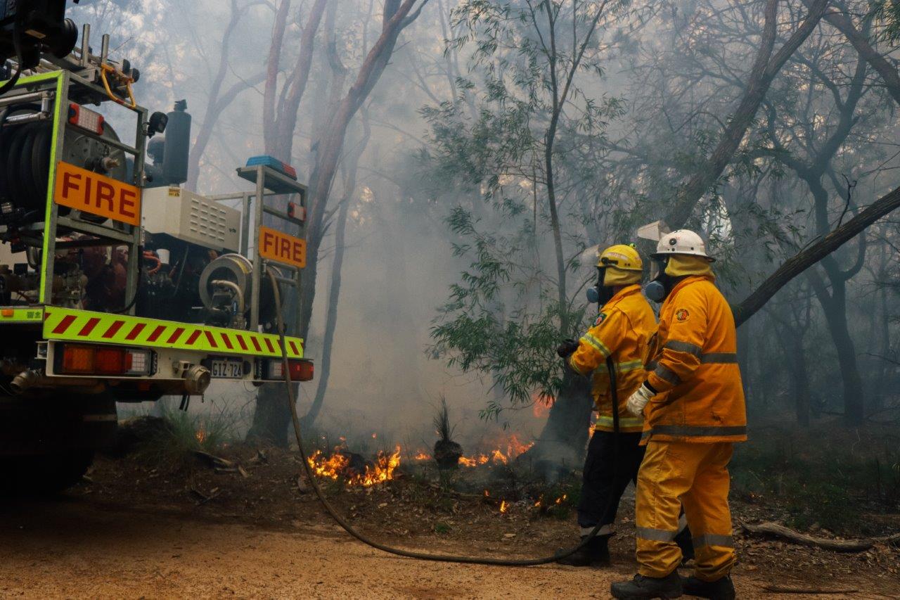 Bushfire Mitigation Image