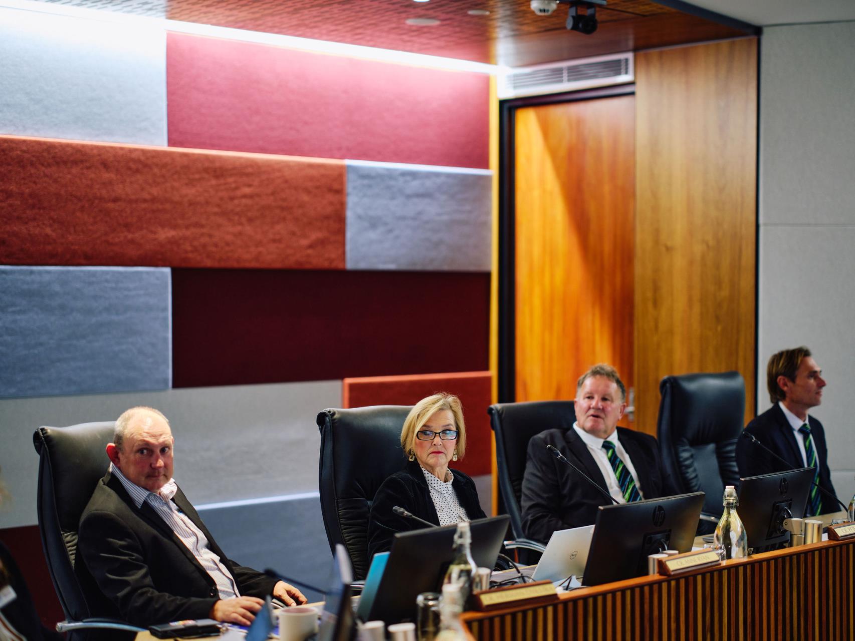 About Council & Committee Meetings Image