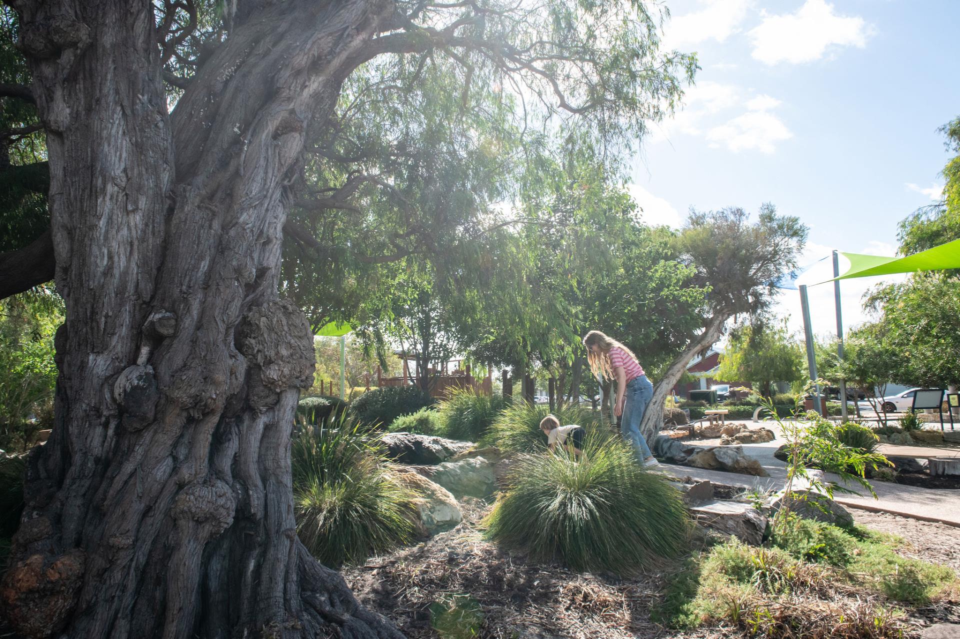 Trees, Parks and Reserves Enquiry Image