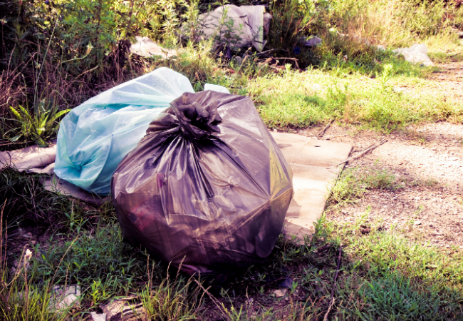 Litter and Illegal Dumping Image