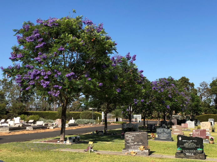 Cemeteries Image