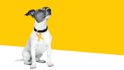 Yellow Dog Campaign Image