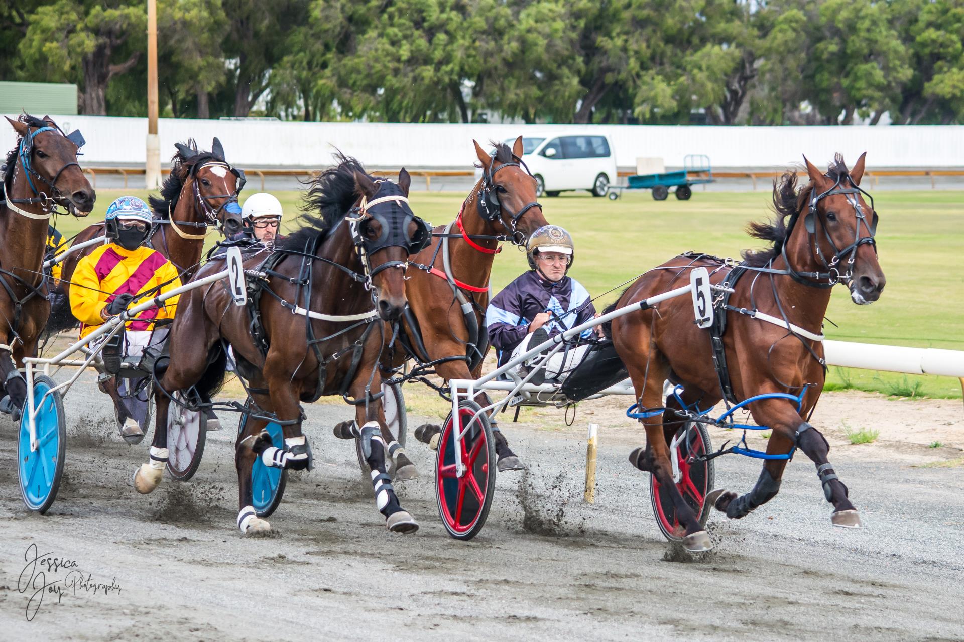 Busselton Trots - Callows Corner News Boxing Day Cup