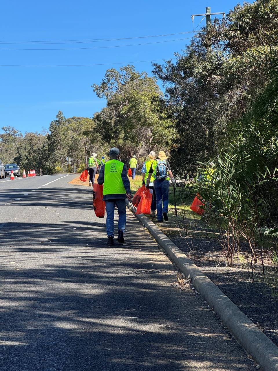 Caves Road Verge Litter Clean-Up