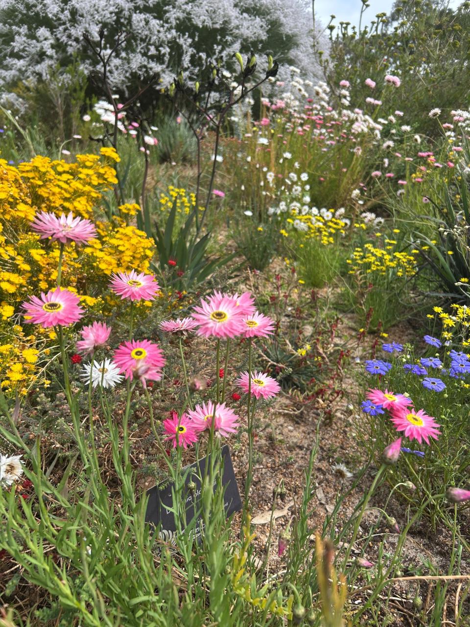 Waterwise Gardening workshop with Neville Passmore