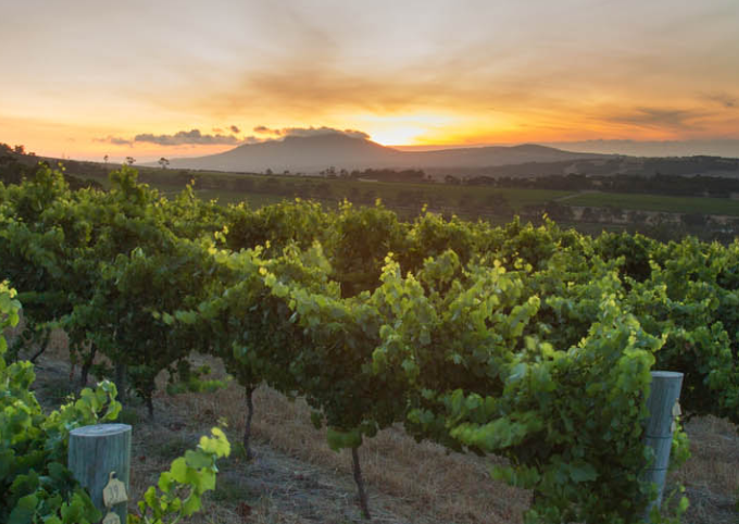 Great Southern Wine Odyssey – Busselton Edition