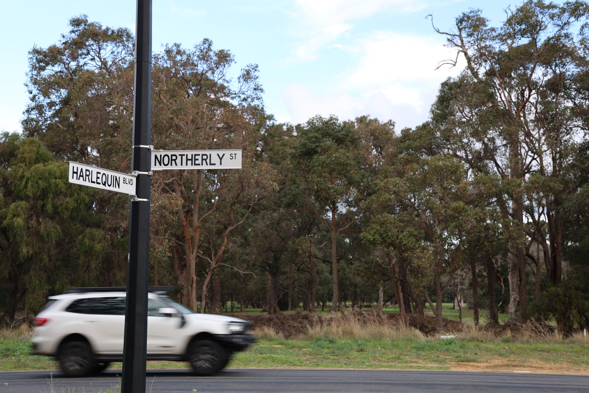 Proposal to permanently close sections of Northerly Street not supported