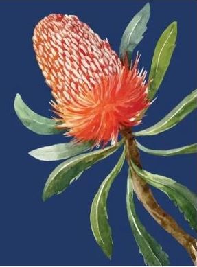 Wildflower and Environment Show Busselton 2023