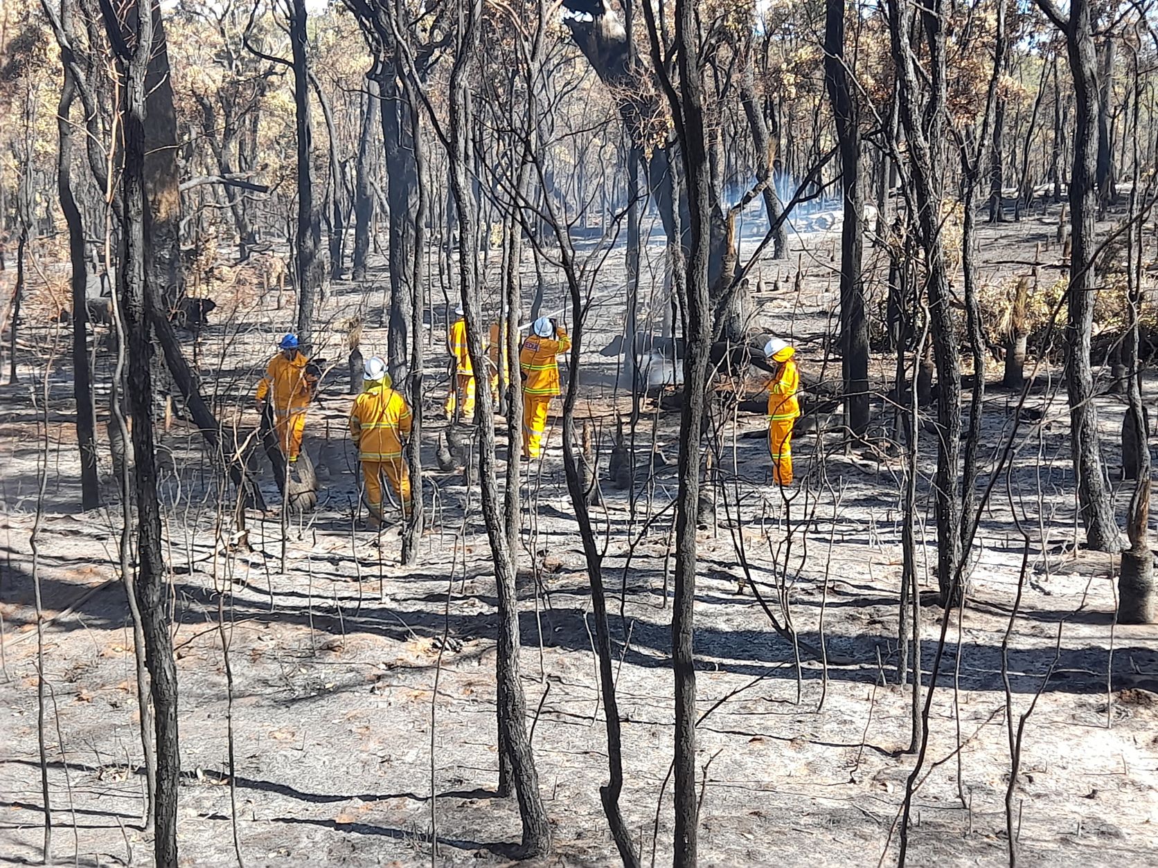 Meelup Regional Park Bushfire Recovery